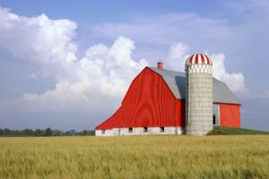 Red barn in a field